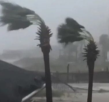 Rebuilding Stronger: How The Loyal Brand Supports Hurricane Recovery with Custom Signage